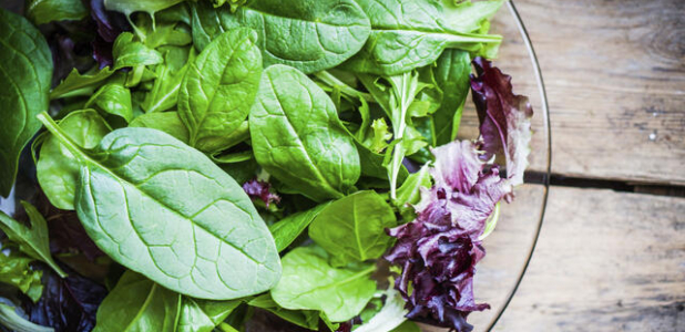 ¿Qué tan nutritivos son los vegetales de hoja verde?