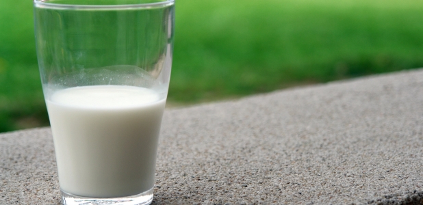 Diferencias entre la leche de vaca y la leche vegetal