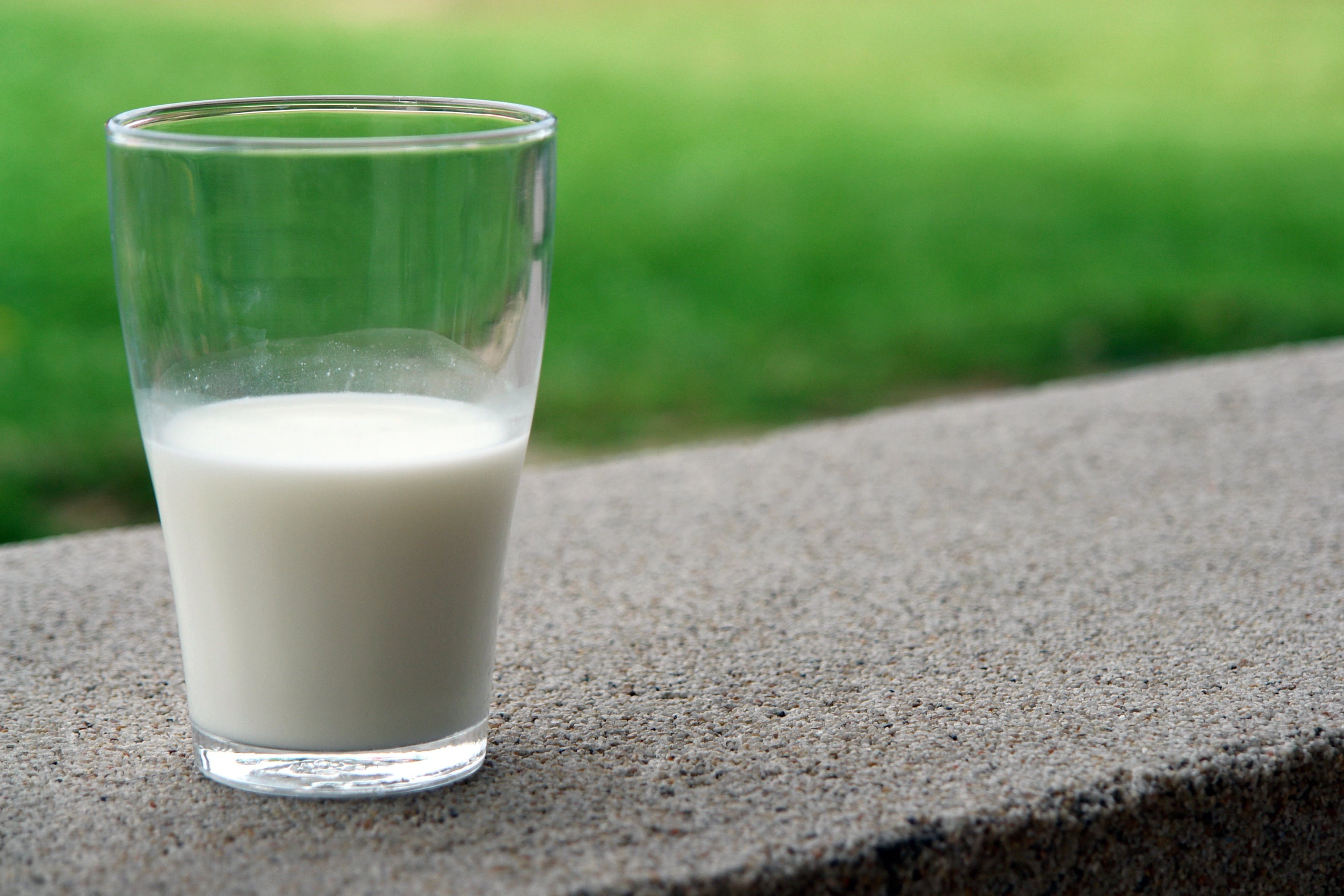 Reconociendo las diferencias entre la leche de vaca y la leche vegetal