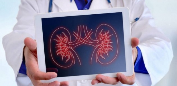 La alimentación en pacientes con enfermedad renal