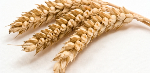 Cuidado con los productos empaquetados con gluten free